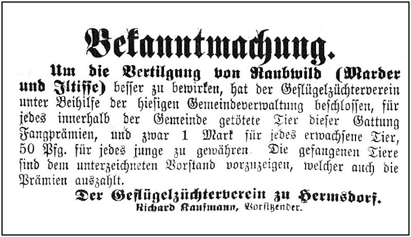 1903-09-08 Hdf Marter und Iltis